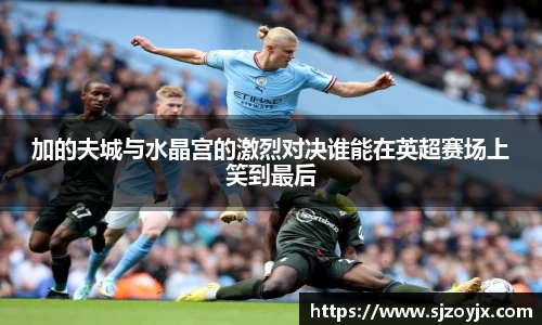 bwin必赢加的夫城与水晶宫的激烈对决谁能在英超赛场上笑到最后